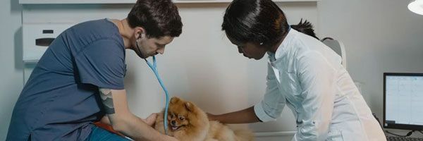 Clínica Médica